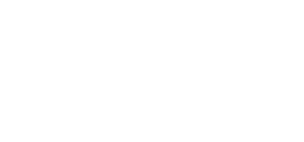 5 Star Dealer Pro